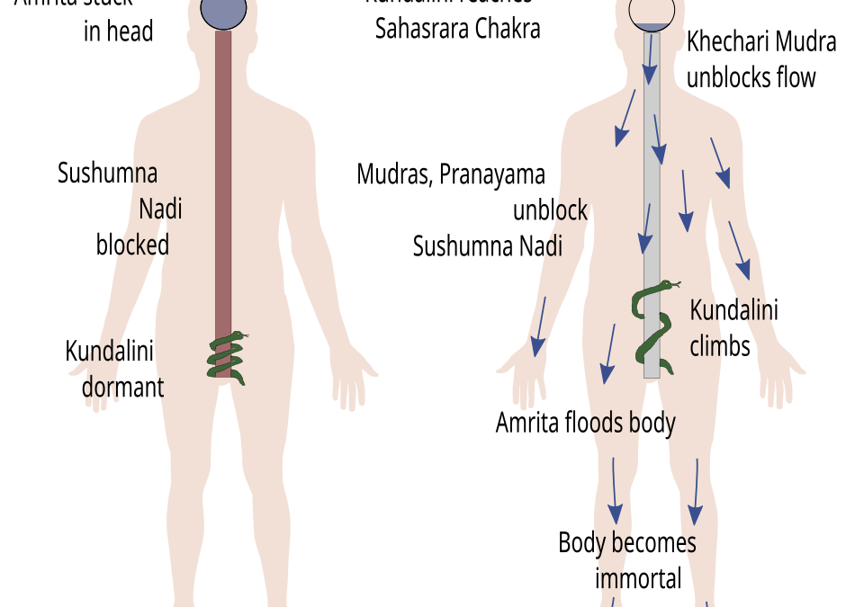 Why Christians and Others Deplore Kundalini Awakening