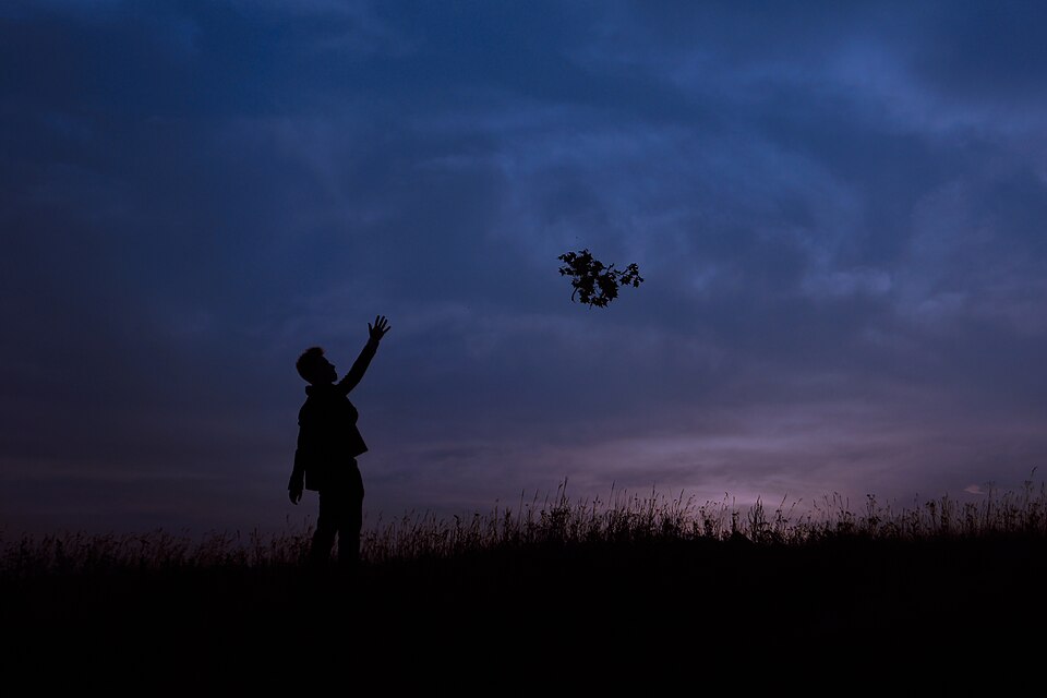 Let Go of Everyone Including Those You Love Most